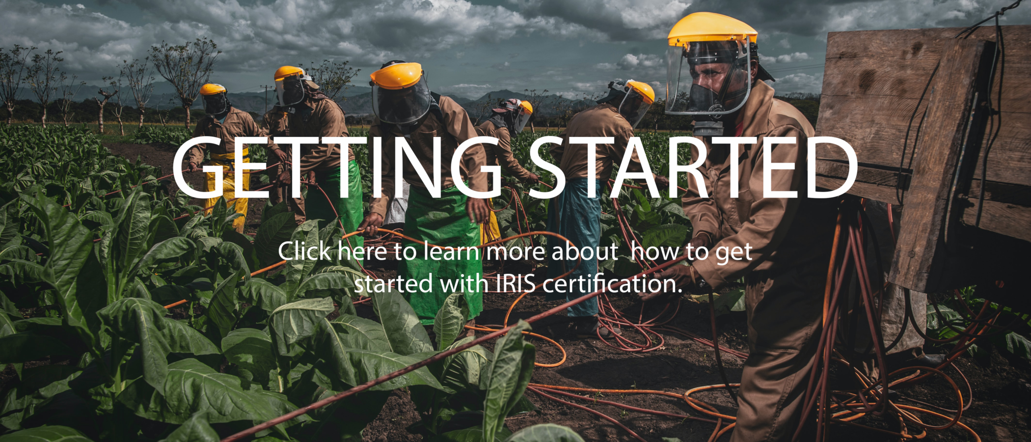 Click here to learn more about how to get started with IRIS certification